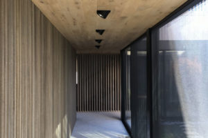 natural wood ceiling