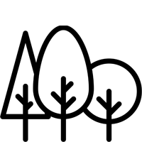 Elements - Species