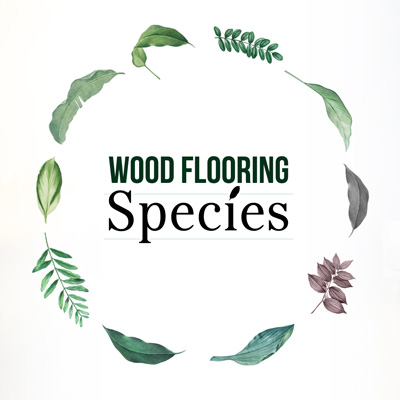 Wood-Flooring-Species