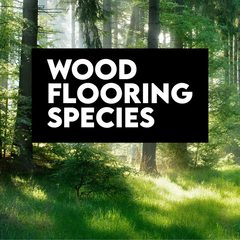 Wood Flooring Species CEU Wood Flooring Species CEU