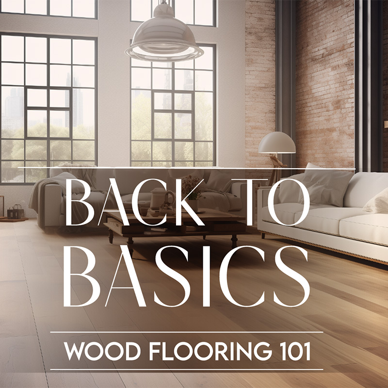 Back-to-Basics-CEU-800-v2