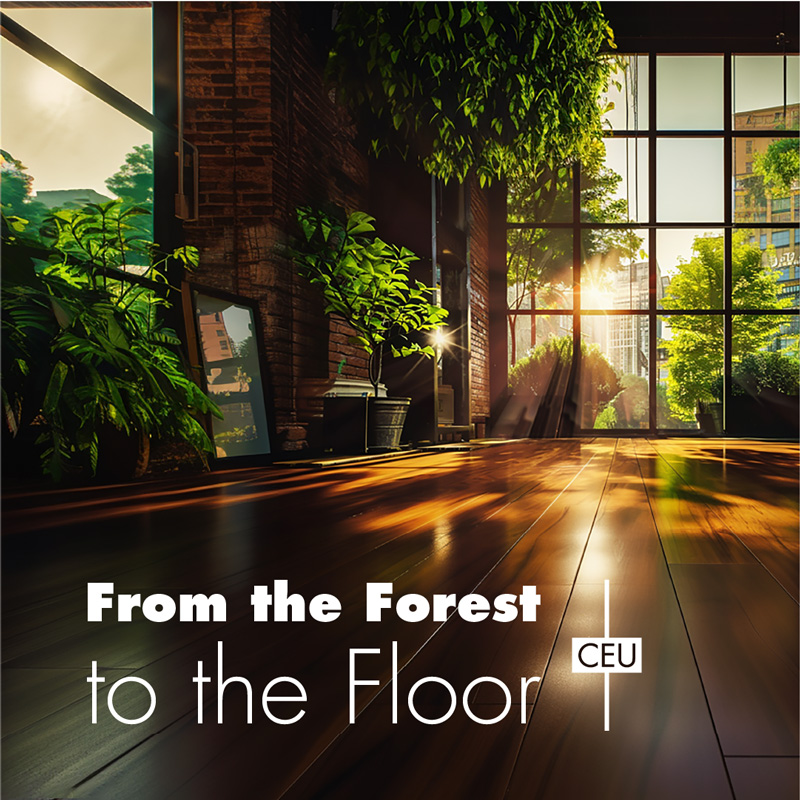 from-the-forest-to-the-floor-CEU-2024 from-the-forest-to-the-floor-CEU-2024